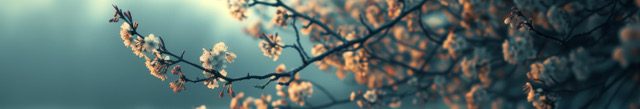 Blossoming tree branch in soft focus.