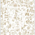Nasca Lines OC5002- The Oddities and Mysteries Collection