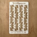 Dead Head Moth OC5004 The Oddities and Mysteries Collection