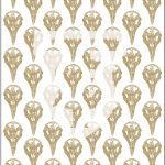 Bird Skulls OC5003: The Oddities and Mysteries Collection