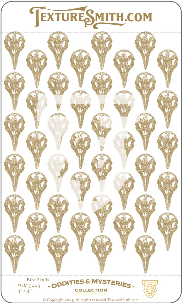 Bird Skulls OC5003: The Oddities and Mysteries Collection