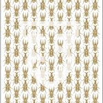 Beetles OC5009