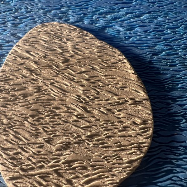 Sand dollar on textured blue background.