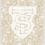 Botanical pattern with magnolia flowers design.