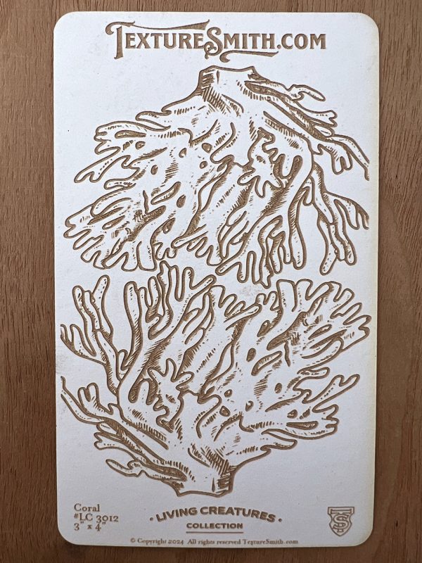 Coral texture illustration on textured paper.