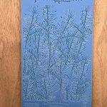 Blue textured sheet with pine branch design.