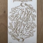 Coral illustration on textured card background.