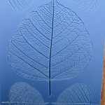 Embossed leaves on blue textured surface.