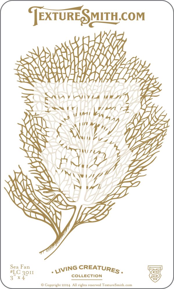 Sea fan illustration with intricate branch details.