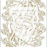 Coral illustration from Living Creatures Collection.