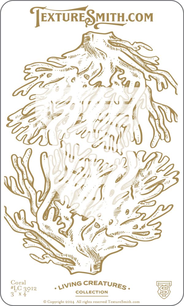 Coral illustration from Living Creatures Collection.