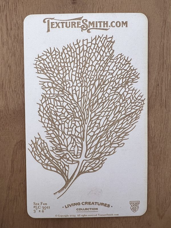 Laser-etched sea fan on wooden plaque.