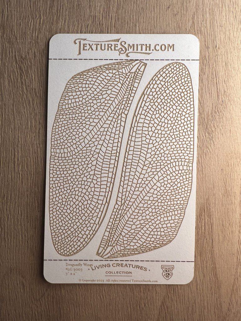 Vintage botanical illustration of a plant seed with detailed texture.