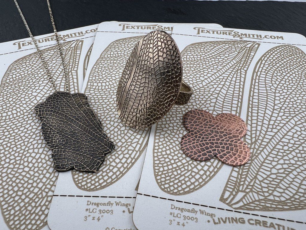 Various pine cone scales placed on identification cards.