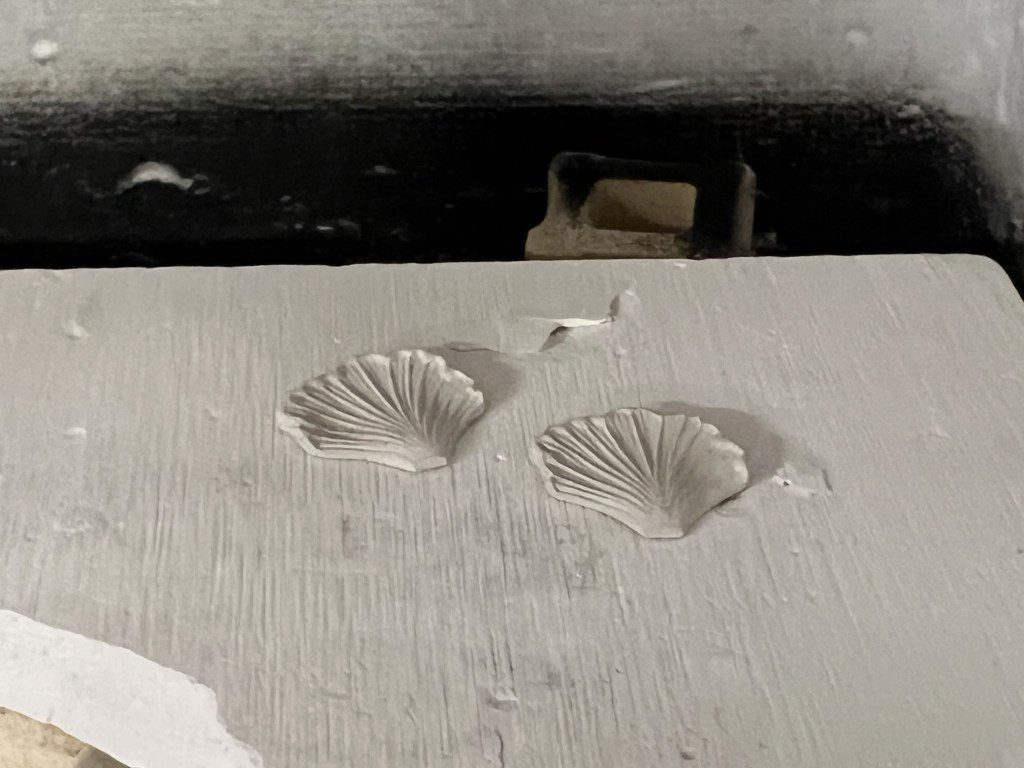 Two shell imprints on a white surface with a dark background.