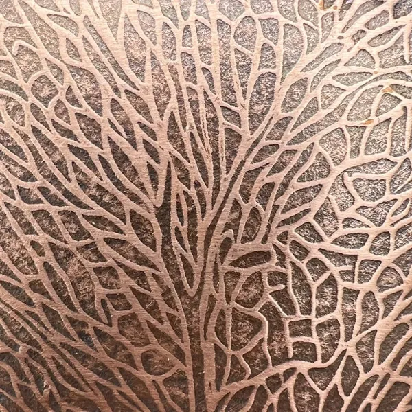 Close-up of a textured surface resembling tree branches or veins.