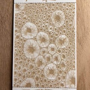 Intricate lace artwork featuring circular floral patterns on a wooden surface.