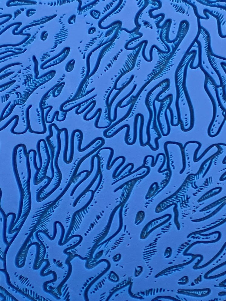 Coral E