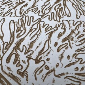 Coral - Paper Texture Card