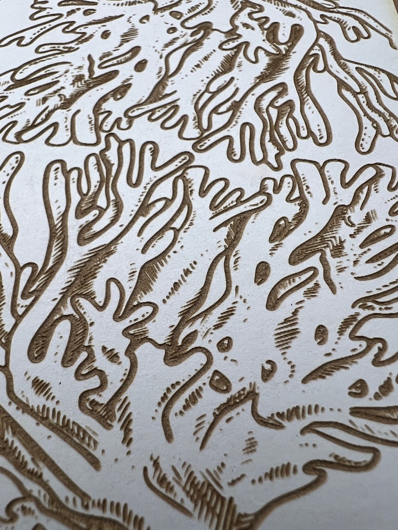 Coral E