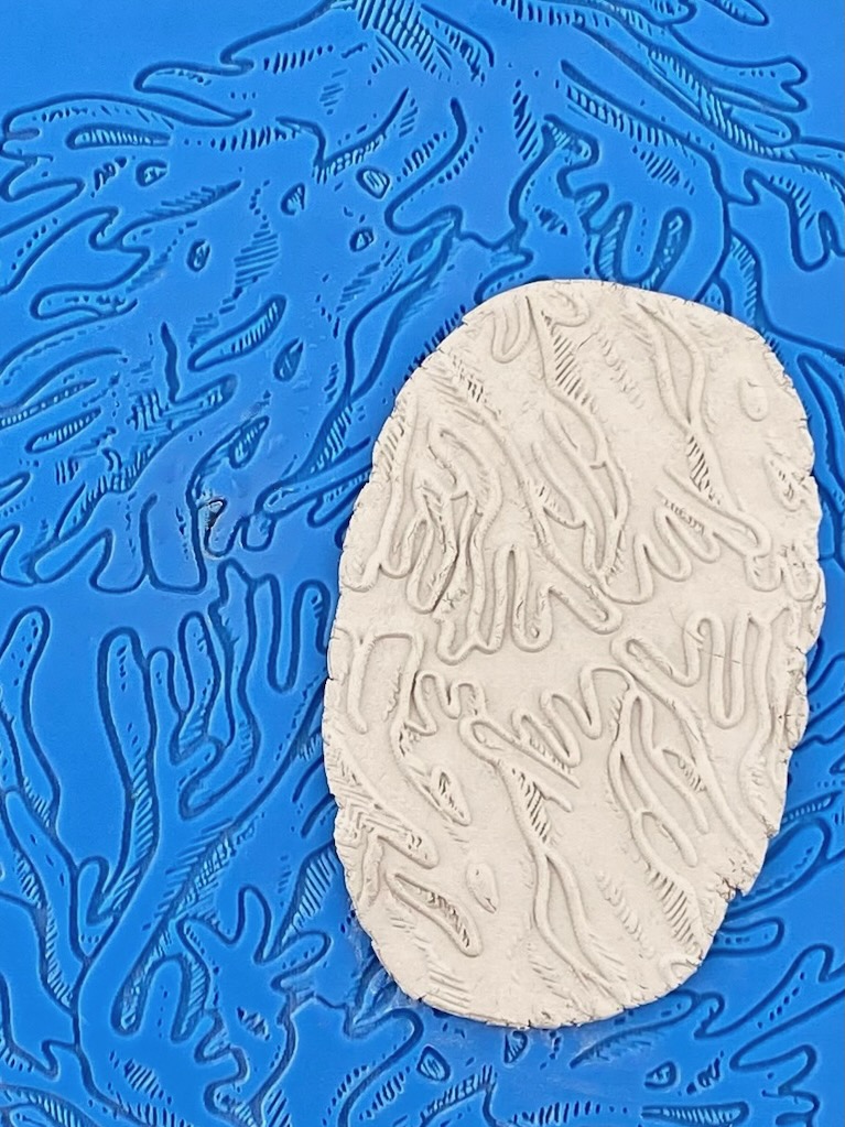 Coral E