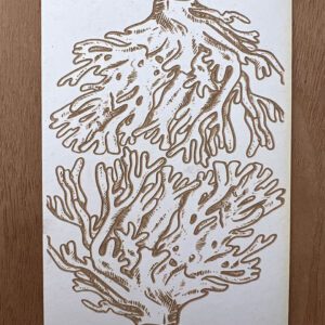 Intricate line art of coral branches on a white sheet.