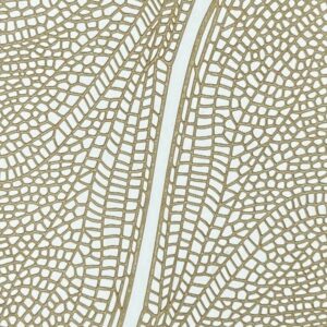 Dragonfly Wings - Paper Texture Card