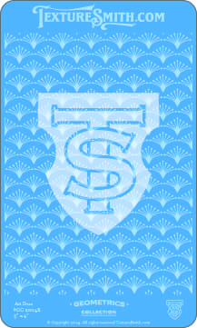 A stylized blue and white emblem with the letters 'TCS' on a patterned background.
