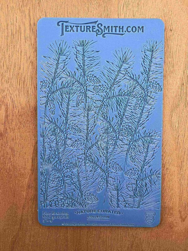 Detailed botanical illustration of delicate fern-like plants on blue paper.