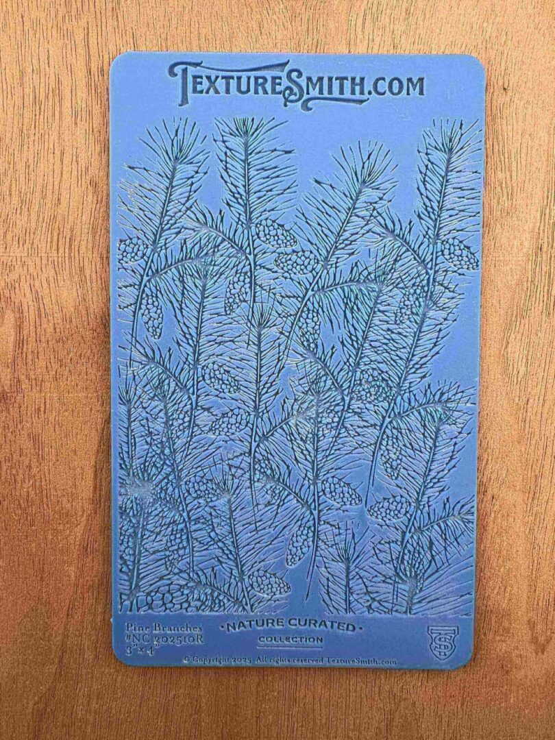 Detailed botanical illustration of delicate fern-like plants on blue paper.