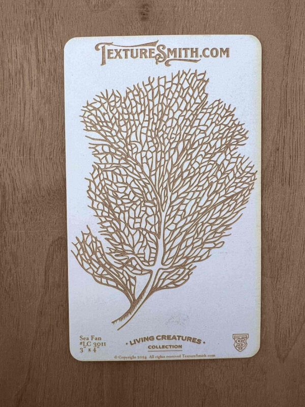 A delicate, dried sea fan coral display on a white background.