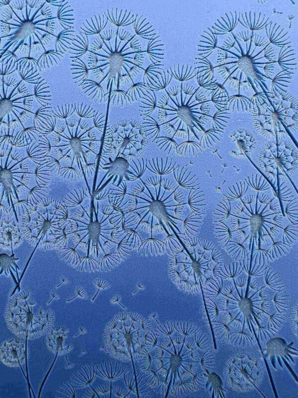 Frost patterns on a window resembling delicate dandelions.