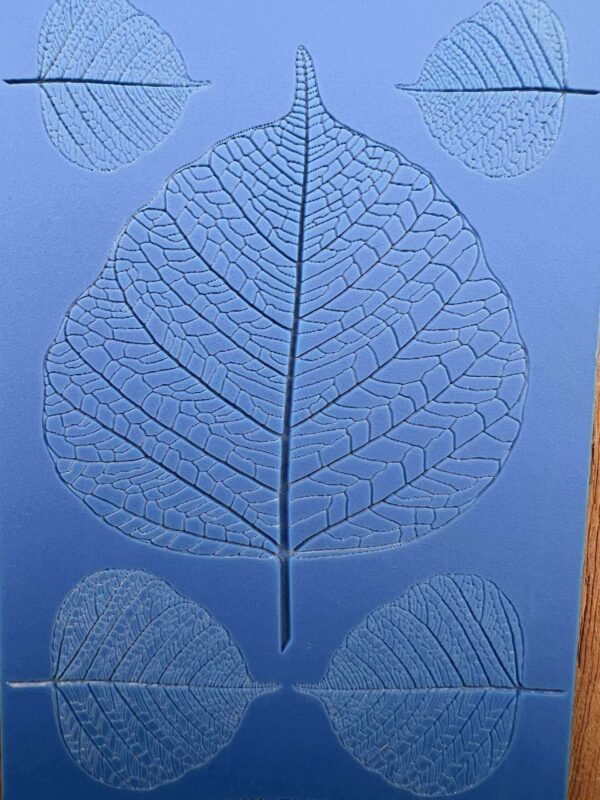 Close-up of a transparent leaf skeleton against a blue background.