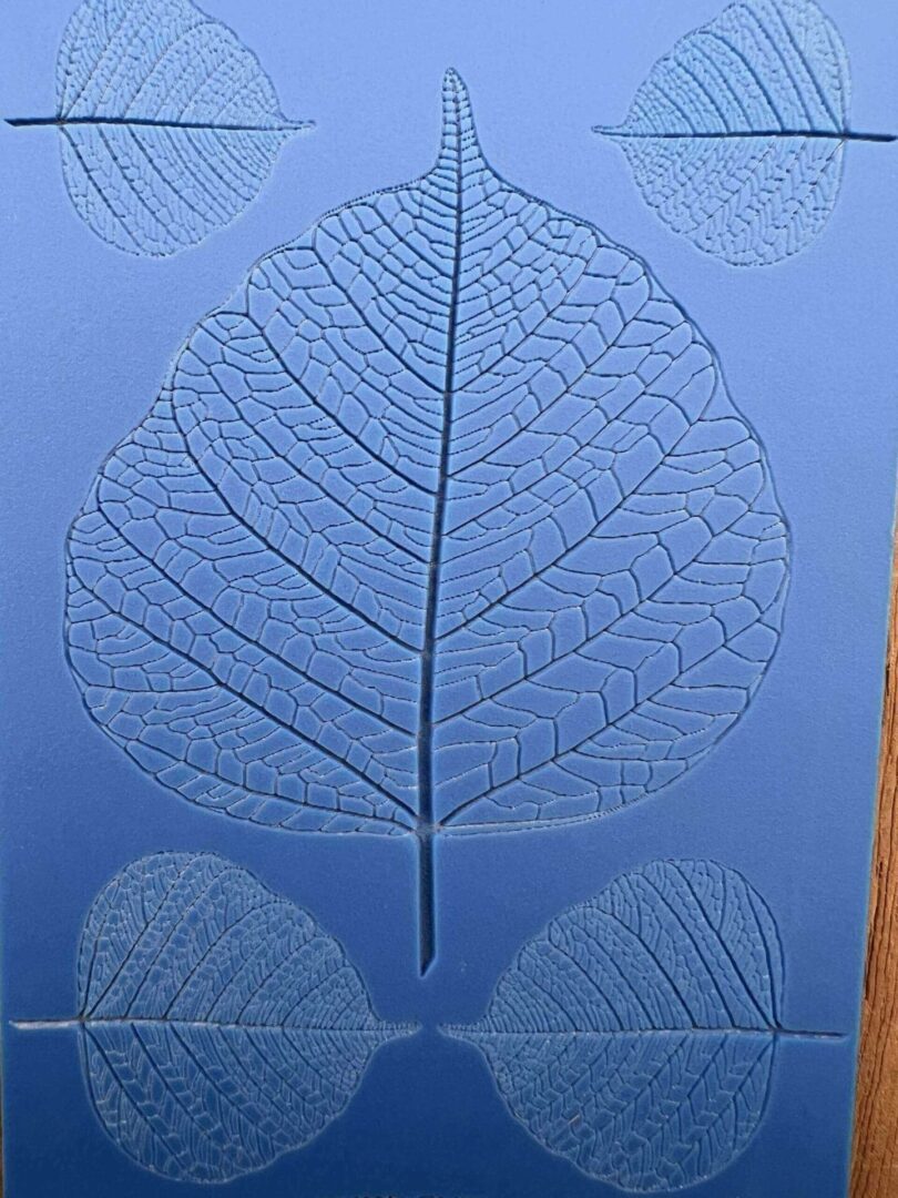 Close-up of a transparent leaf skeleton against a blue background.