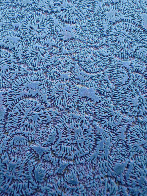 Close-up of blue textured fabric with intricate swirling patterns.