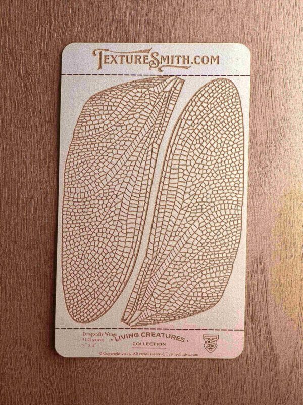 Vintage coffee bean illustration on textured card.