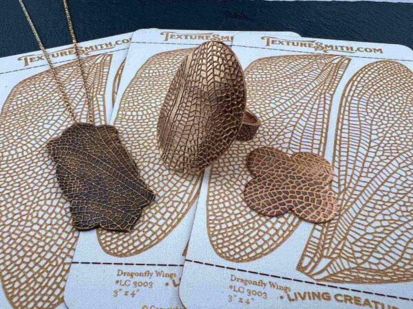 Various dried mushrooms placed on illustrated identification cards.