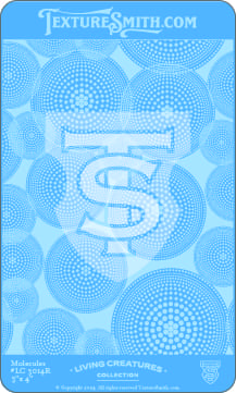 A blue shield emblem with interlocking letters 'T' and 'S'.