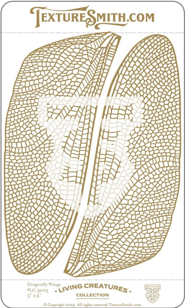 Microscopic view of a plant leaf's vein structure.