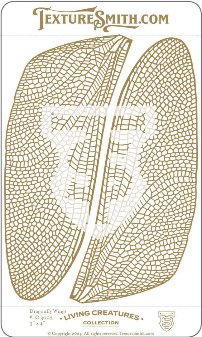 Microscopic view of a plant leaf's vein structure.
