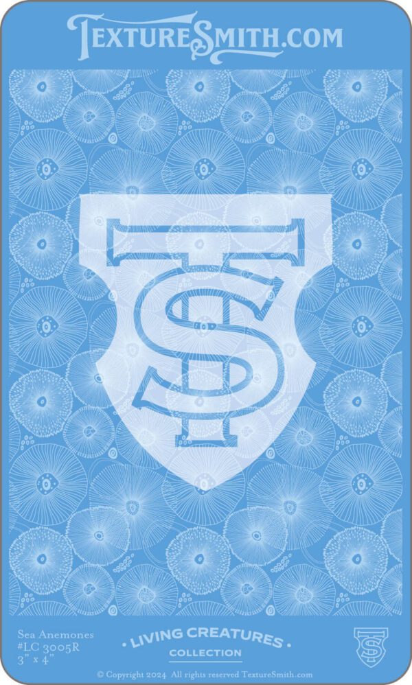 Blue shield emblem with stylized letters T and S.