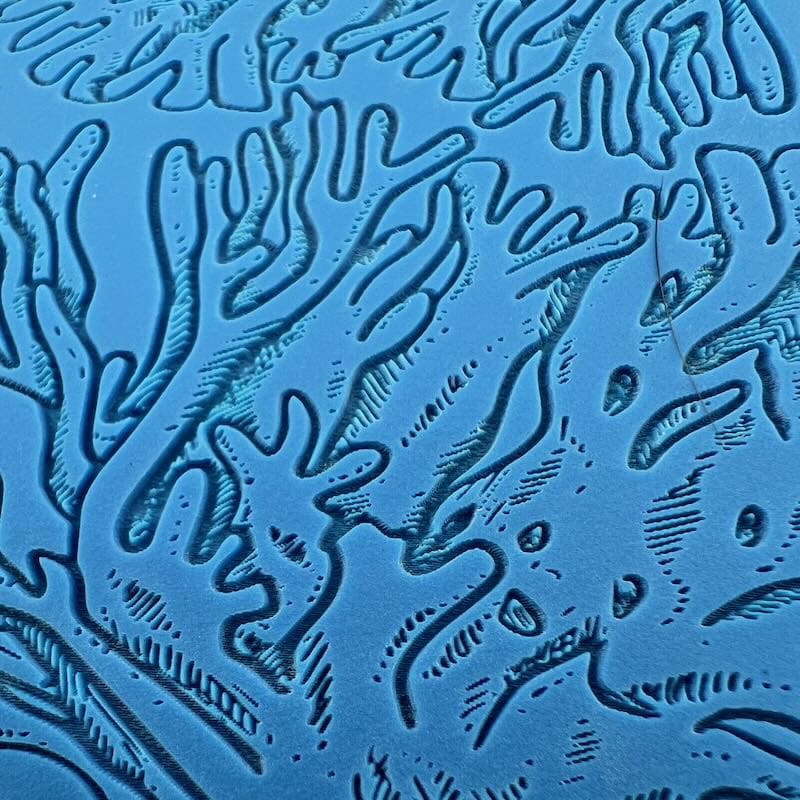 Close-up of intricate, blue frost patterns on a window.