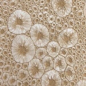 Nasturtiums - Paper Texture Card