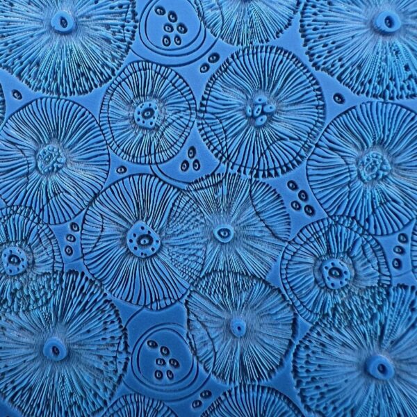 Close-up of blue sand dollars with detailed patterns.