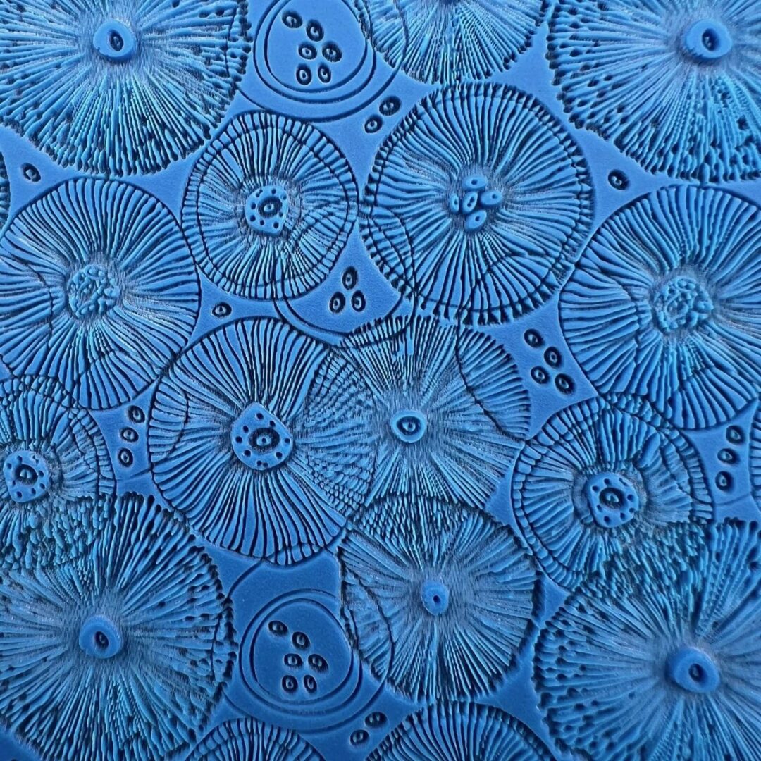 Close-up of blue sand dollars with detailed patterns.