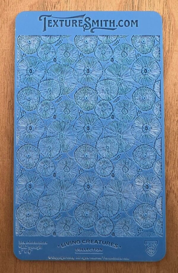 Blue textured surface with circular patterns and a wooden frame.