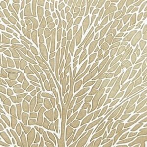 Sea Fan - Paper Texture Card