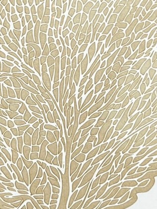 Sea Fan D