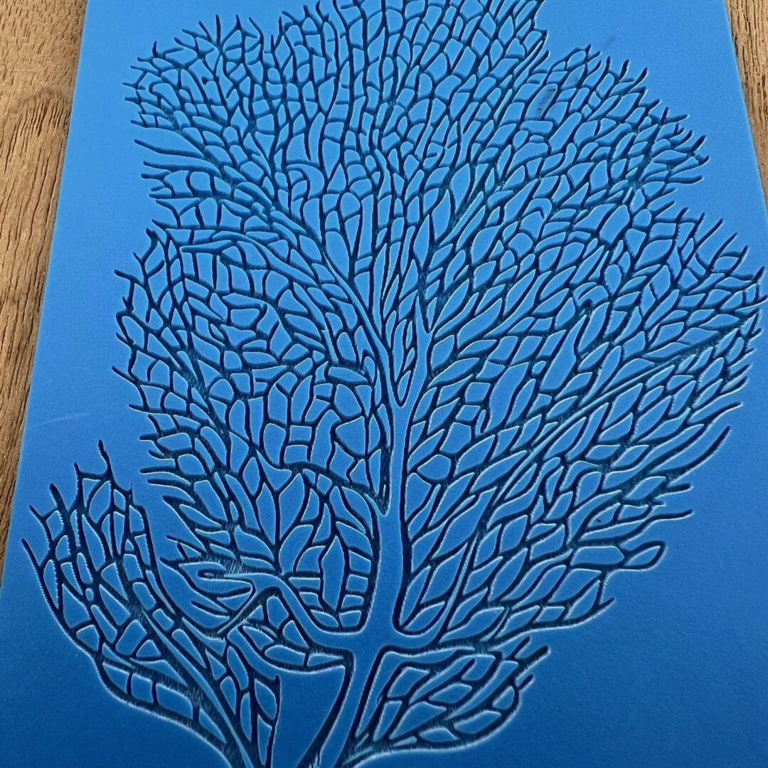 Intricate blue coral-like pattern on a blue background.
