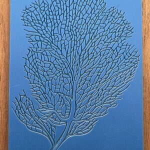 Intricate coral pattern embossed on a blue surface.